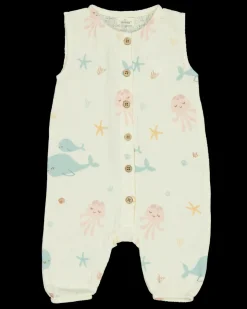 Boxpak - Multi-color